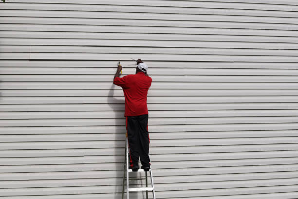 Best Siding Painting and Refinishing  in Quartzsite, AZ